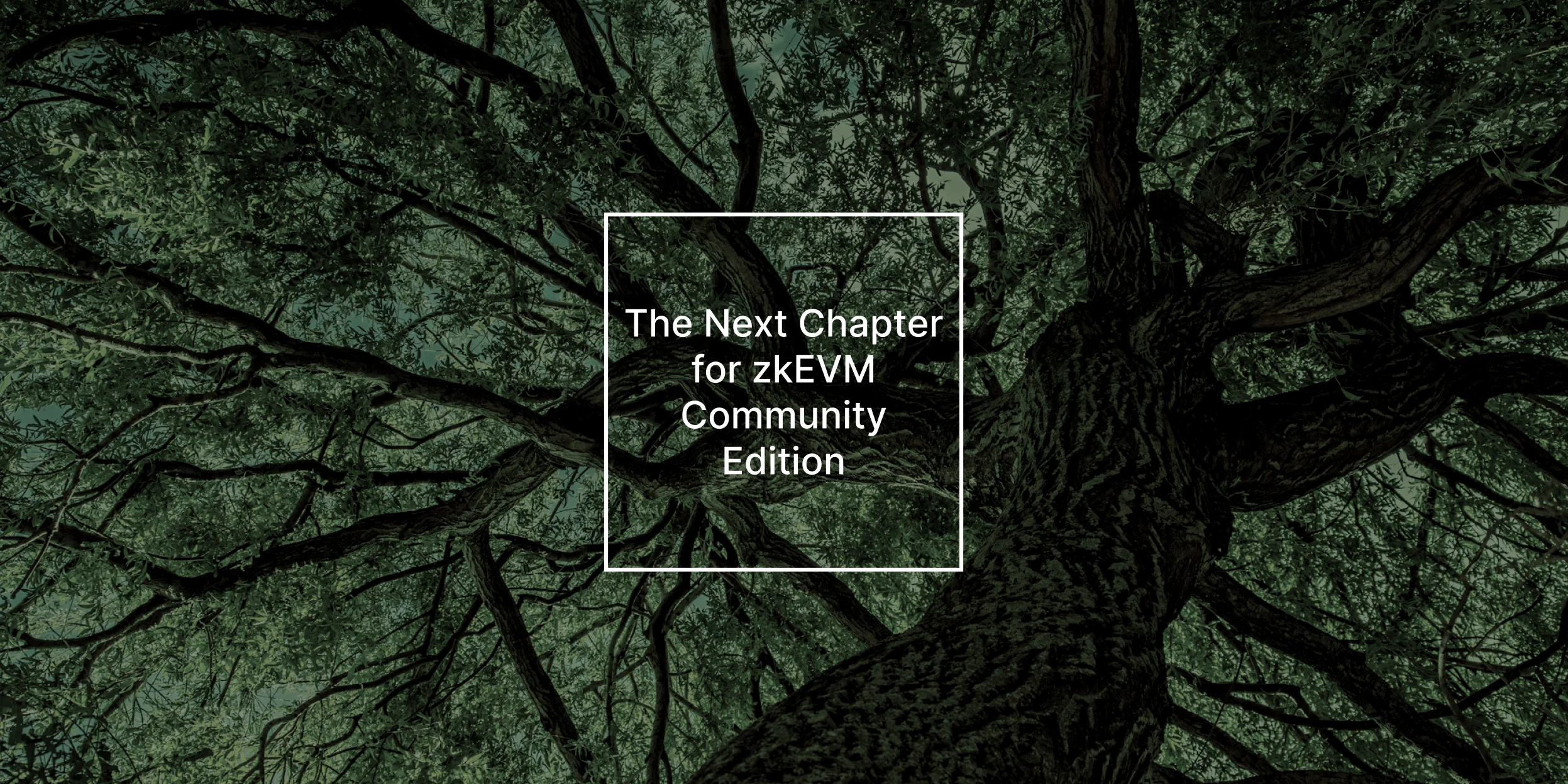 The next chapter for zkEVM Community Edition